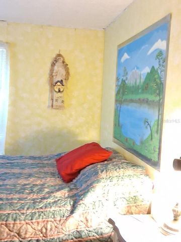 13600 NE 166TH STREET, Fort Mc Coy, FL 32134