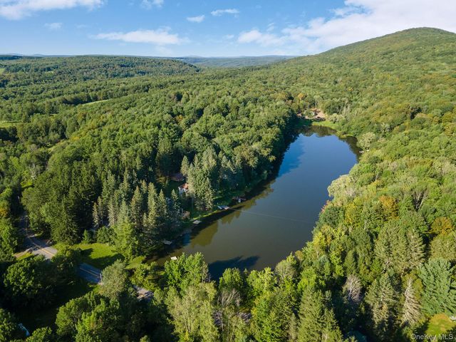 106 Earles Lane, Gilboa, NY 12076