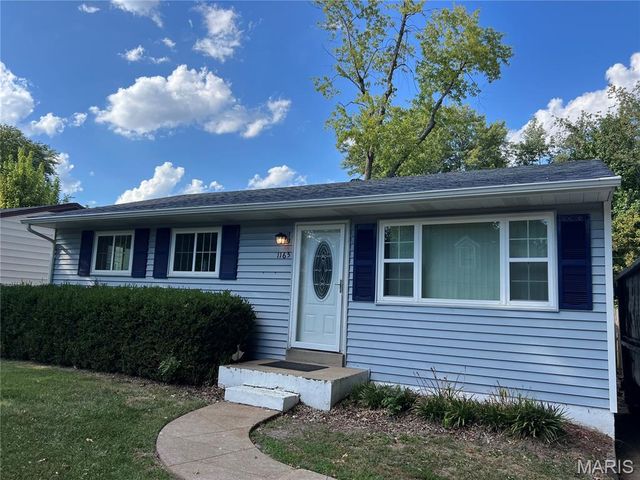 1165 June Avenue, St Louis, MO 63138