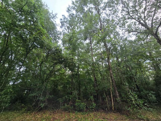1208 County Road 377, Cleveland, TX 77327