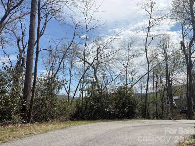 TBD Swiss Pine Lake Drive 117, Spruce Pine, NC 28777