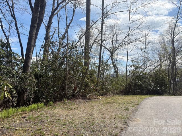 TBD Swiss Pine Lake Drive 117, Spruce Pine, NC 28777