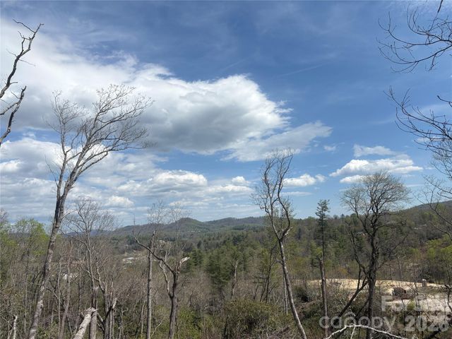 TBD Swiss Pine Lake Drive 117, Spruce Pine, NC 28777