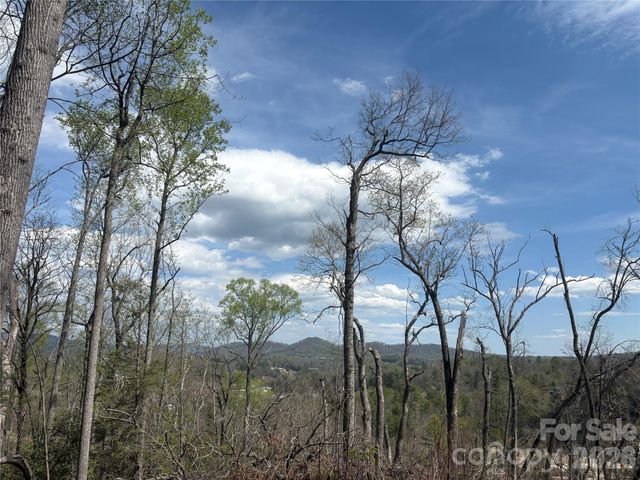 TBD Swiss Pine Lake Drive 117, Spruce Pine, NC 28777