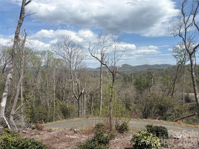 TBD Swiss Pine Lake Drive 117, Spruce Pine, NC 28777