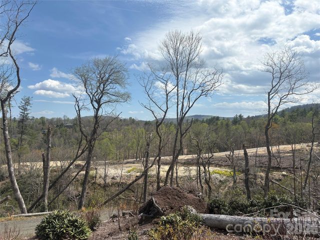 TBD Swiss Pine Lake Drive 117, Spruce Pine, NC 28777