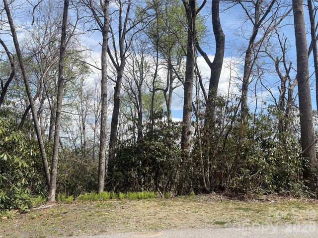 TBD Swiss Pine Lake Drive 117, Spruce Pine, NC 28777