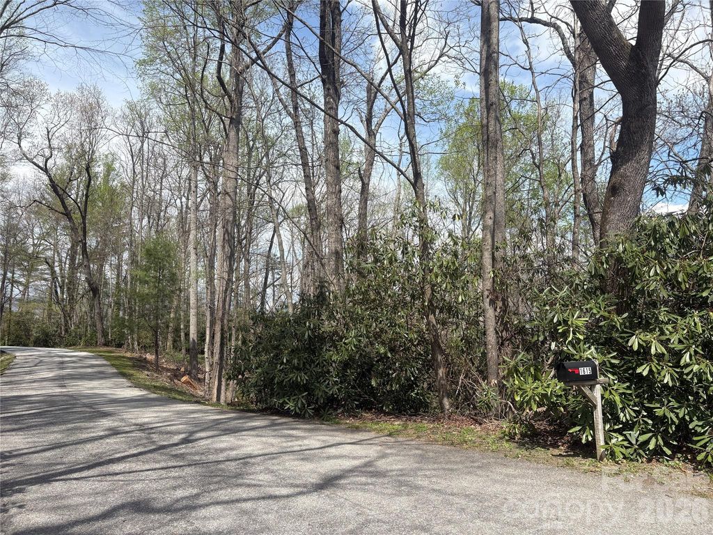 TBD Swiss Pine Lake Drive 117, Spruce Pine, NC 28777