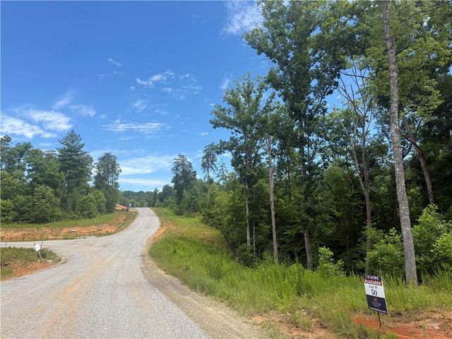03 Blue Mountain Road, Morganton, GA 30560