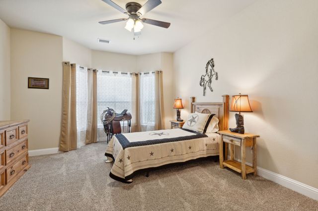175 Pecan Hollow Circle, Anna, TX 75409