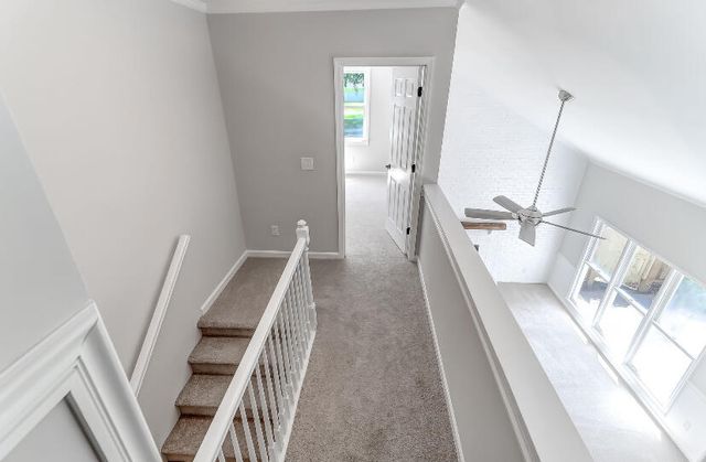 757 Sappho Court, Mount Pleasant, SC 29464