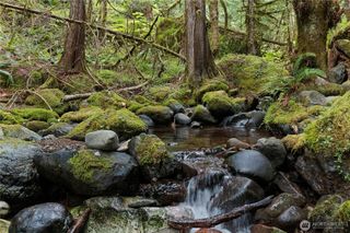 830 N Dow Mountain Road, Hoodsport, WA 98548