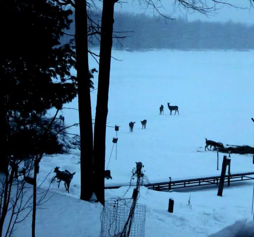 8307 Cortez Drive, Lake, MI 48632