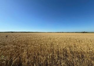 TBD HCR 1153, Blum, TX 76627