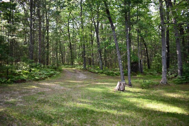 3800 Forest Road, Au Sable Twp, MI 48750