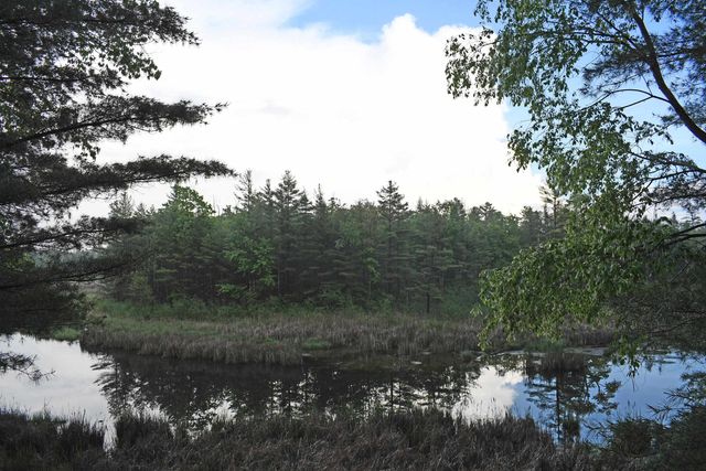 3800 Forest Road, Au Sable Twp, MI 48750