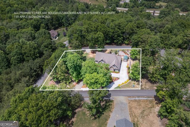 159 Apple Blossom Road, Blairsville, GA 30512