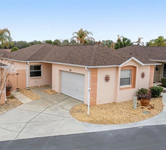 807 ALVARADO PLACE, The Villages, FL 32159