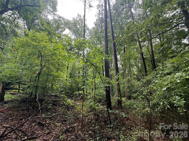 3117 Shirley Drive, Charlotte, NC 28214
