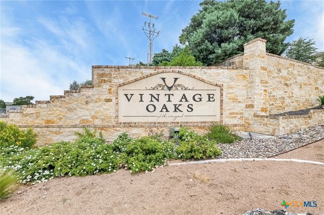 1424 Decanter Drive, New Braunfels, TX 78132