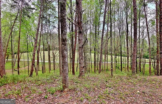 5855 Tony Peck Road, Murrayville, GA 30564