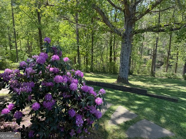 5855 Tony Peck Road, Murrayville, GA 30564