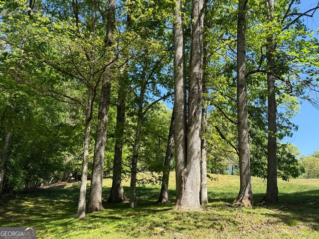 5855 Tony Peck Road, Murrayville, GA 30564