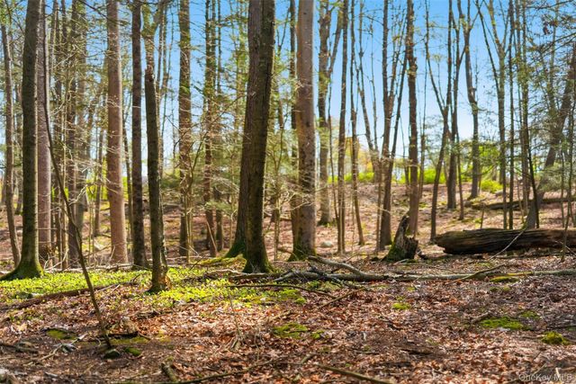 101 Minisink Turnpike, Westtown, NY 10998