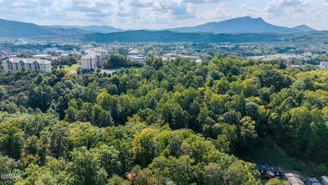 2136 Daisy Trail, Pigeon Forge, TN 37863