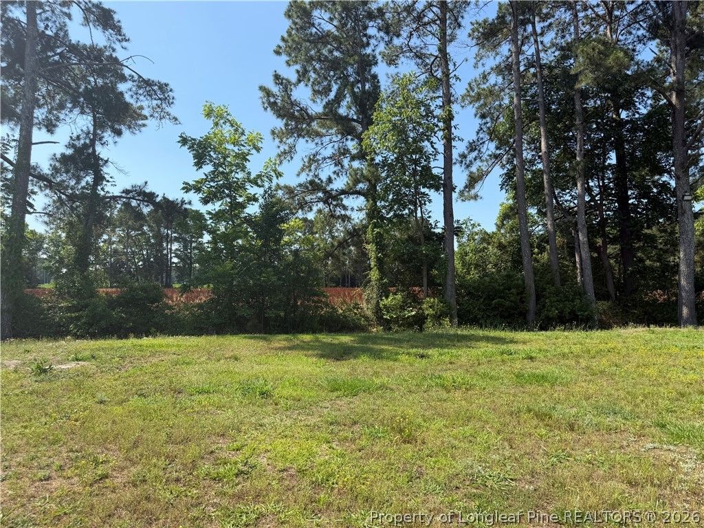 4339 Saddletree Road, Lumberton, NC 28360 — photo 4