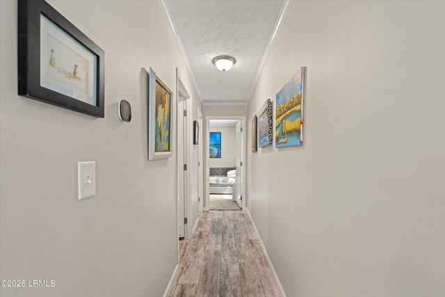 19 Sandy Lane, Beaufort, SC 29907