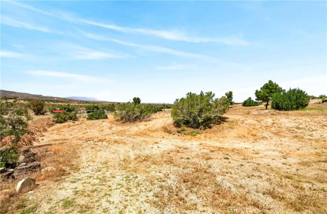 33403 111th East, Littlerock, CA 93543
