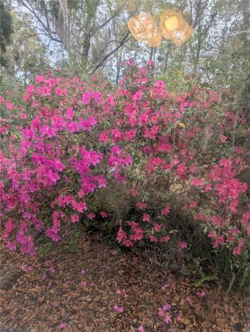 10816 SW 83RD AVENUE, Ocala, FL 34481