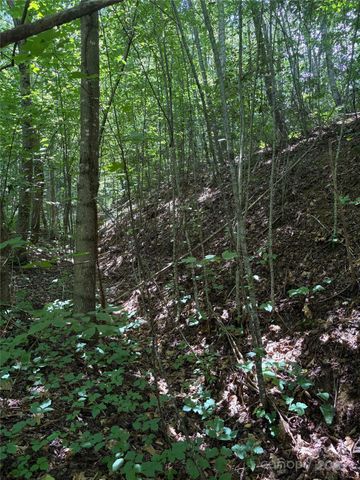 00 Early Frost Place 98, Waynesville, NC 28785