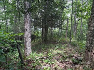 00 Early Frost Place 98, Waynesville, NC 28785