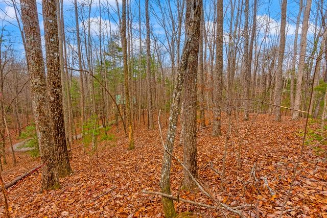 1.03 ac Guy Eller Road, Murphy, NC 28906