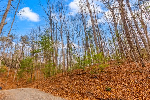 1.03 ac Guy Eller Road, Murphy, NC 28906