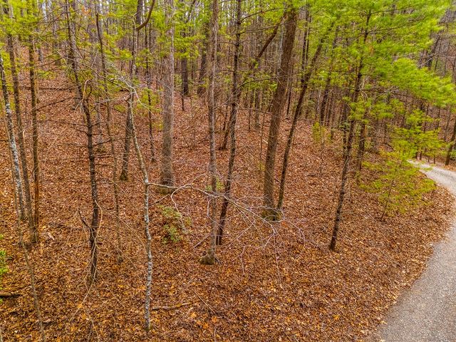 1.03 ac Guy Eller Road, Murphy, NC 28906