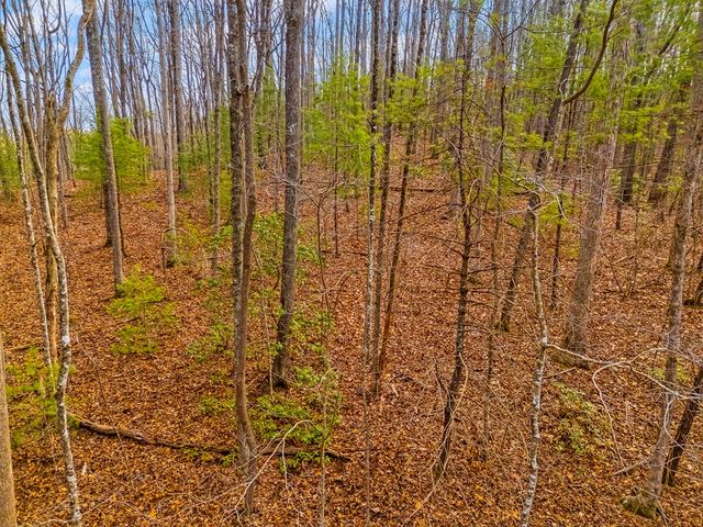 1.03 ac Guy Eller Road, Murphy, NC 28906