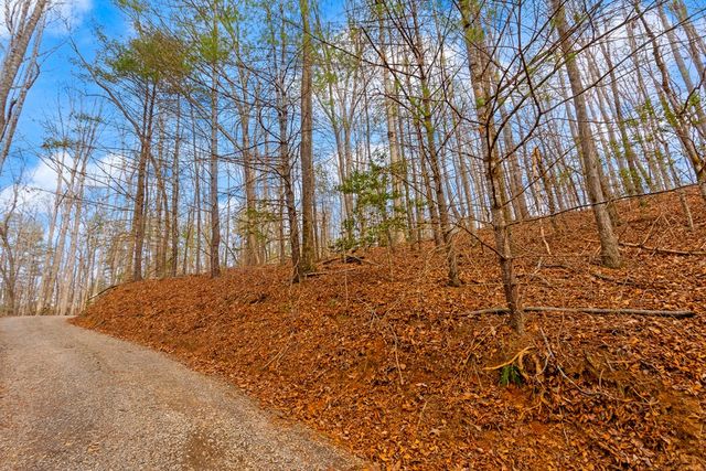 1.03 ac Guy Eller Road, Murphy, NC 28906