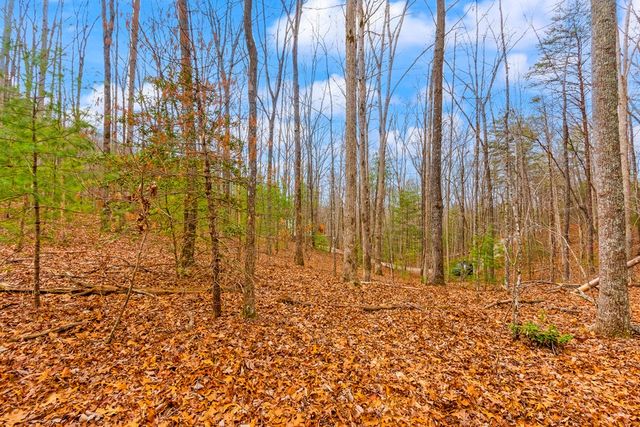 1.03 ac Guy Eller Road, Murphy, NC 28906