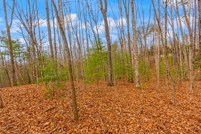 1.03 ac Guy Eller Road, Murphy, NC 28906