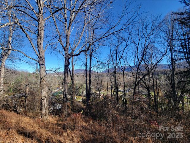 0 Blink Bonny Drive B9 & B11, Waynesville, NC 28786