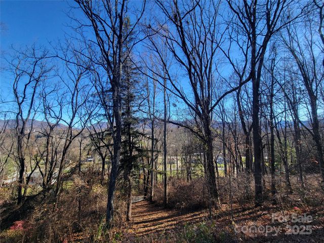 0 Blink Bonny Drive B9 & B11, Waynesville, NC 28786