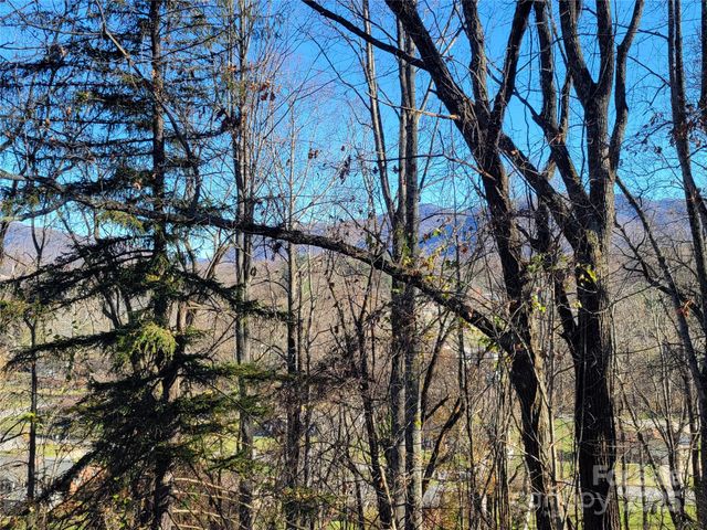 0 Blink Bonny Drive B9 & B11, Waynesville, NC 28786