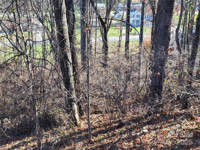 0 Blink Bonny Drive B9 & B11, Waynesville, NC 28786