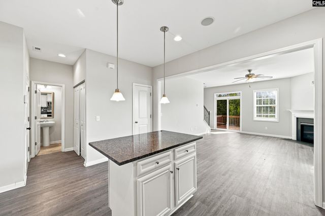 223 Cassique Drive, Lexington, SC 29073