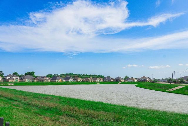 23422 Malbec Drive, Alvin, TX 77511