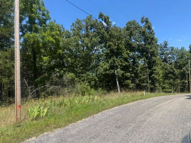 1 Azure Lane, Holiday Island, AR 72631