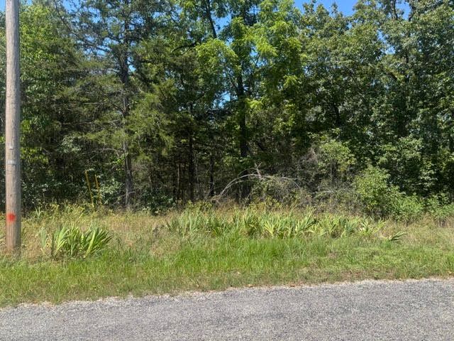1 Azure Lane, Holiday Island, AR 72631